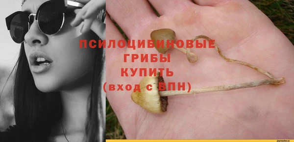 метамфетамин Алексеевка