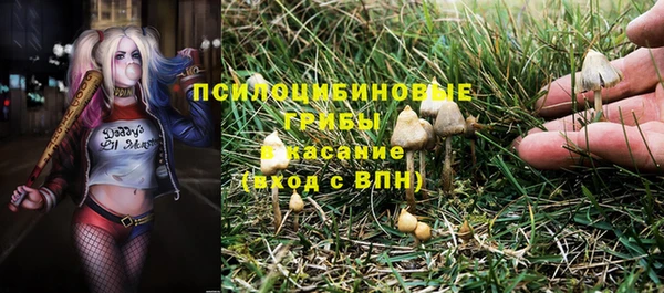 спайс Алзамай