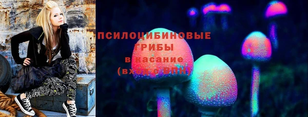 спайс Алзамай