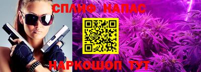прущие крисы Камышлов