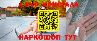 прущие крисы Камышлов