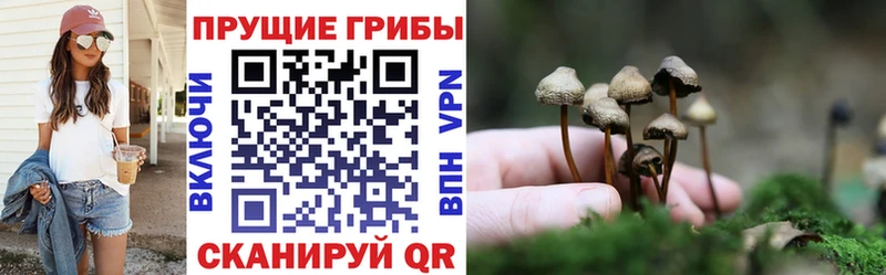 дарк нет как зайти  kraken ССЫЛКА  Лесосибирск  Псилоцибиновые грибы Magic Shrooms 